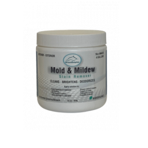 Mold & Mildew Stain Remover